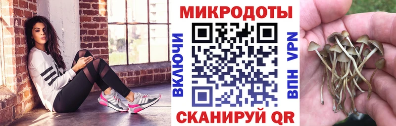 Псилоцибиновые грибы MAGIC MUSHROOMS  где найти   Саянск 